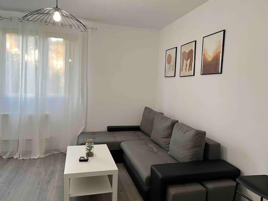 Appartement Renove - Vandoeuvre Les Nancy Eksteriør billede