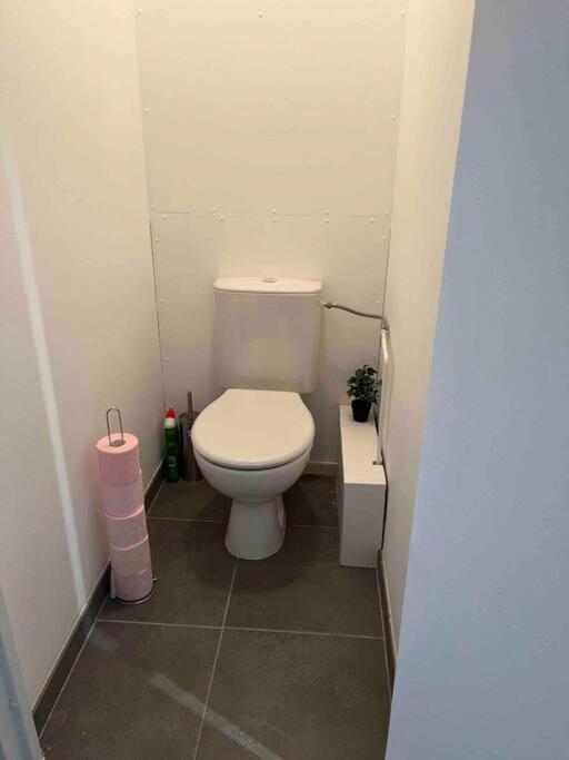 Appartement Renove - Vandoeuvre Les Nancy Eksteriør billede